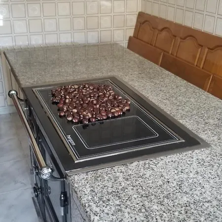 Aloe Сasa de vacaciones *